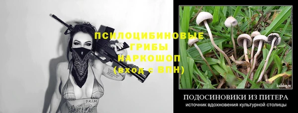 метадон Осташков