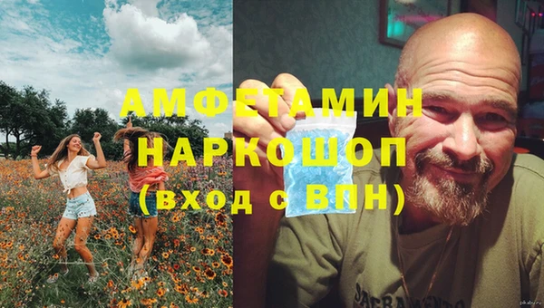 бошки Гатчина
