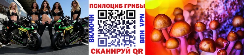 Псилоцибиновые грибы Cubensis  Уварово 